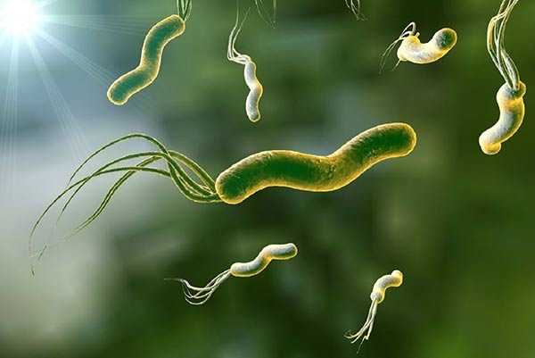  درمان علائم، تشخیص و درمان Helicobacter pylori در مرکز آندوسکوپی دکتر محمد علی محمدزاده.jpg