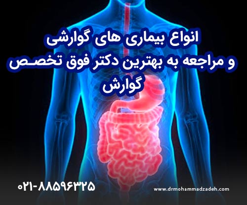 انواع بیماری های گوارشی و مراجعه به بهترین دکتر فوق تخصص گوارش