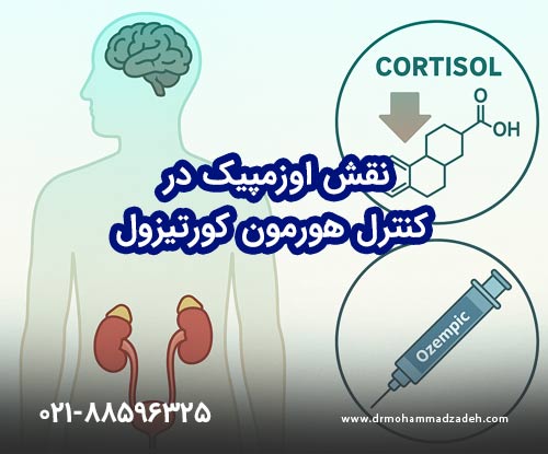 نقش اوزمپیک در کنترل هورمون کورتیزول
