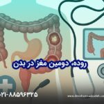 عوامل التهاب مؤثر بر روده بزرگ